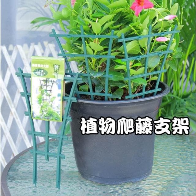 小魚嚴選 扇形爬藤支架 一組兩片 園藝植物盆栽蝴蝶蘭藤蔓陽台室內固定支架 觀賞植物爬藤網網架