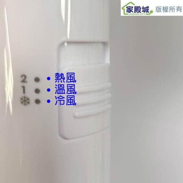 【達新牌】達新 TS-1899P 掛壁式吹風機