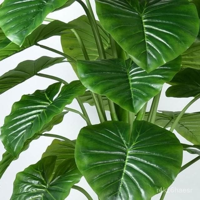 可開發票 假樹滴水觀音綠植仿真植物落地盆栽大型客廳盆景假花裝飾塑料花藝