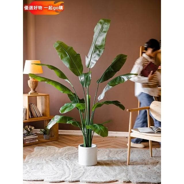 仿真綠植 芭蕉樹 天堂鳥 盆景 仿真植物 室內 仿真樹 大型裝飾 擺件 花器 園藝裝飾 仿真芭蕉葉 仿真盆栽