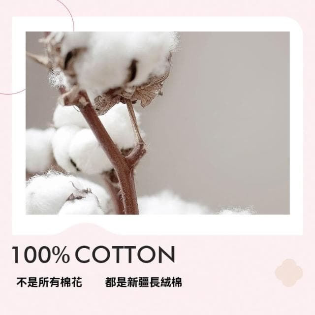 純棉床包四件套  100%精梳棉 床單 床包 被套 枕套