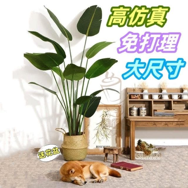 160公分 仿真植物 北歐仿真龜背葉 龜背竽 檸檬樹 仿真竹子 植物盆栽 商業擺飾假花 綠化植
