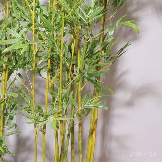 仿真竹子 裝飾 朔料花 裝飾 仿真竹子 假竹子 室內裝飾 仿真植物 隔斷 屏風 室外盆栽 造景 帶梢細毛竹 室內裝飾