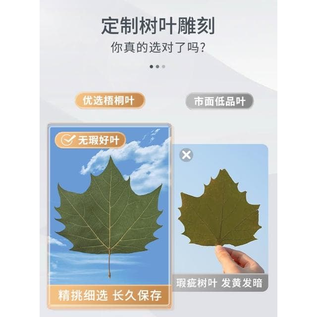 桃甜也居家生活 梧桐葉雕照片訂製樹葉畫葉子雕刻生日禮物送女生禮品擺飾相框新年