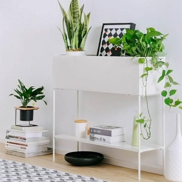 輕奢露天花架 陽臺花架 花盆 庭院花架 盆栽架 多肉植物架 戶外雙層大型花架 歐風植物架室外陽臺落地式花架