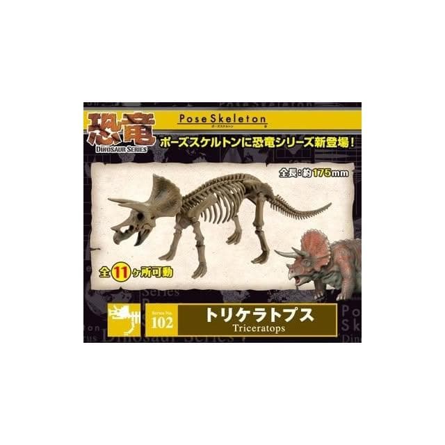 大旺小舖:日本正版Re-Ment食玩骨頭人骨頭恐龍三角龍No.102科學教具可搭配黏土人生日結婚母親節情人節聖誕交換禮物