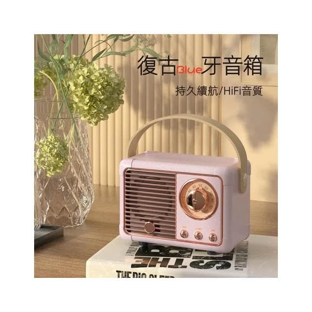 🍁娘小娘精選好貨🎀 戶外 室外 汽車音響 藍牙音箱 USB 戶外重低音喇叭 藍芽喇叭 藍芽音響 手提音響