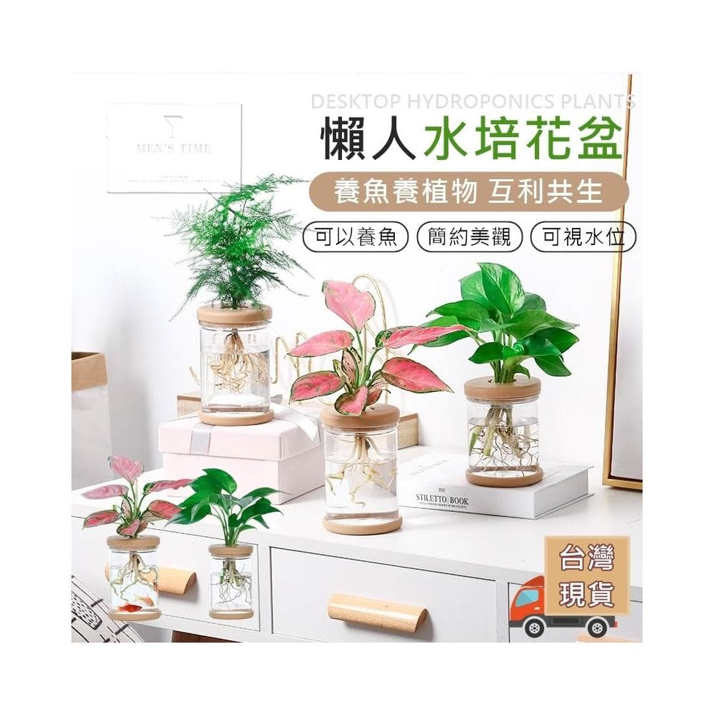 台灣現貨 ️養魚養植物 園藝懶人必備 水培花盆 水耕盆栽 懶人盆栽 懶人花盆 水耕花器 水培 多肉花盆 水耕