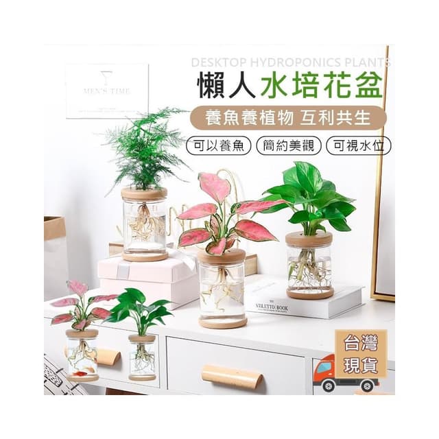 台灣現貨 ️養魚養植物 園藝懶人必備 水培花盆 水耕盆栽 懶人盆栽 懶人花盆 水耕花器 水培 多肉花盆 水耕