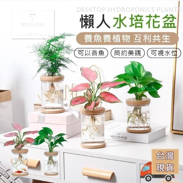 台灣現貨 ️養魚養植物 園藝懶人必備 水培花盆 水耕盆栽 懶人盆栽 懶人花盆 水耕花器 水培 多肉花盆 水耕