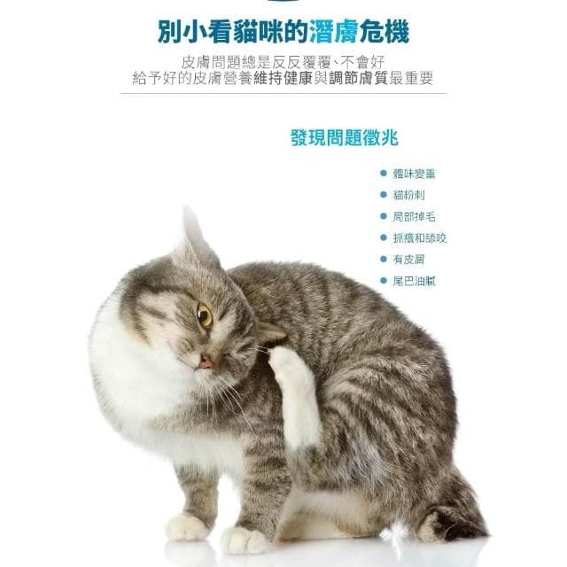 【MORESON 木入森】貓咪護膚保養 25包 50包/盒 膚立好(皮毛保健 護膚亮毛 貓咪保健品 貓咪保養品)