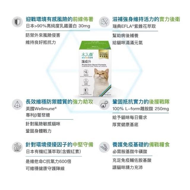 【MORESON 木入森】貓咪維持免疫力 30顆 60顆/盒 護疫升(補充營養 貓咪保健品 貓咪保養品)