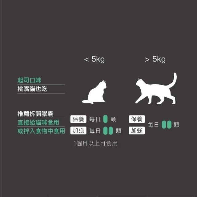 【MORESON 木入森】貓咪維持免疫力 30顆 60顆/盒 護疫升(補充營養 貓咪保健品 貓咪保養品)