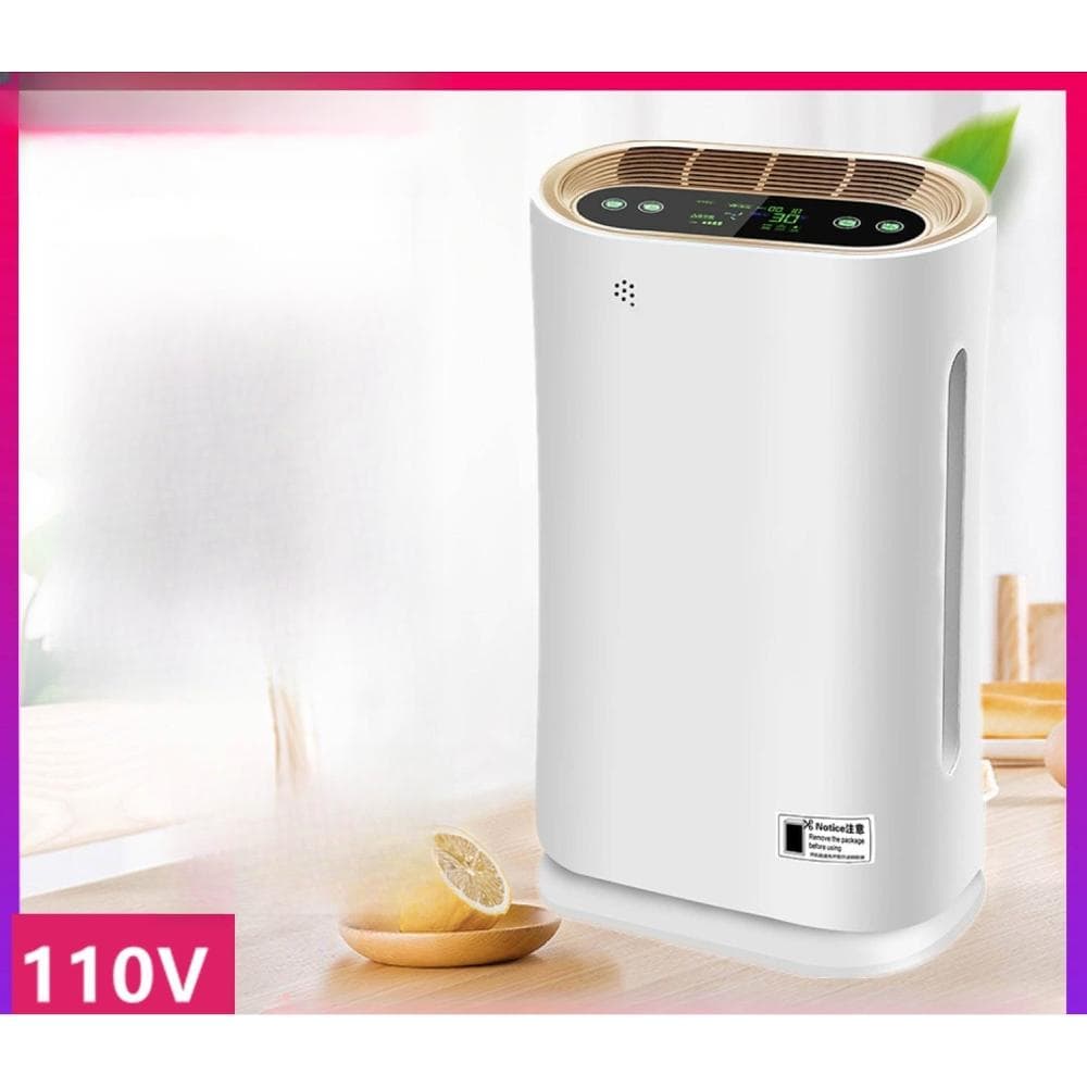 110V空氣淨化器家用智能除煙除塵除醛麻將館棋牌室辦公室會銷禮品