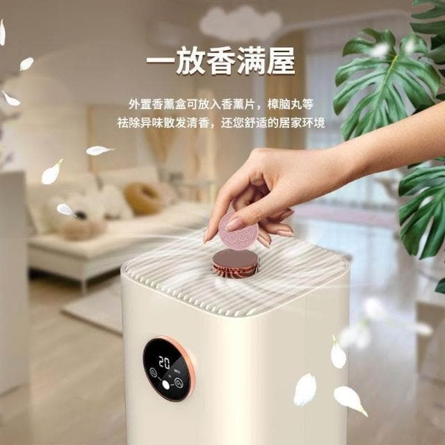 110v臺灣小家電香薰活氧負離子空氣淨化器除甲醛消毒機臭氧發生器