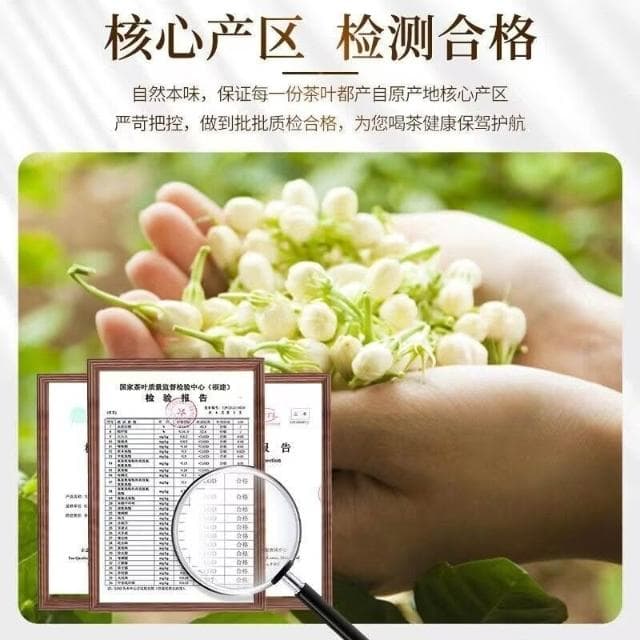 Camelliar 九窨 茉莉花茶特級濃香型茶葉2024新茶茉莉飄雪正宗嫩芽綠茶