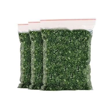 Camelliar 2024新茶葉日照散裝綠茶茶葉 高山雲霧綠茶濃香 炒青綠茶