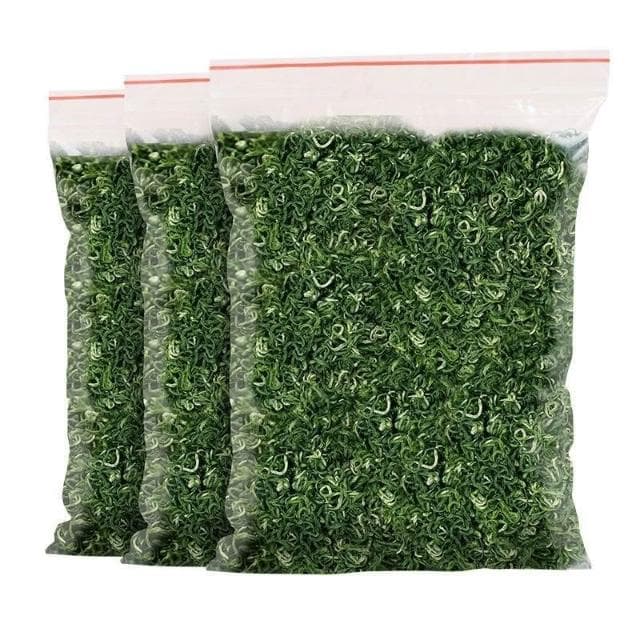 Camelliar 2024新茶葉日照散裝綠茶茶葉 高山雲霧綠茶濃香 炒青綠茶