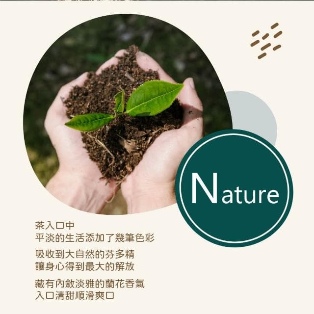 【名池茶業】台灣松柏嶺傳香知意隨風逸精選烏龍春茶葉150gx8包(共2斤)