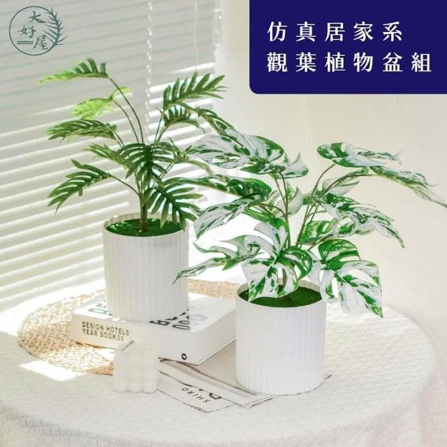 大好屋 仿真居家系觀葉植物盆組 龜背葉 春雨葉 仿真綠植 綠化盆栽 室內擺件