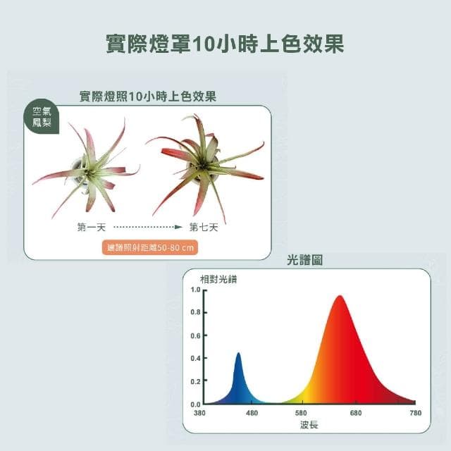 【DanceLight 舞光】附發票 舞光LED 紅藍光譜植物PAR燈 植物專用 室內專用 LED-PAR3824RB 植物燈 杯燈 E27 植物燈