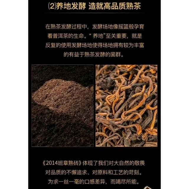 Camelliar雲南猛海 班章普洱茶 2014年 古樹熟茶陳年老茶磚1000G