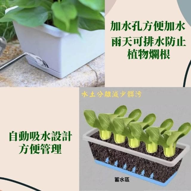 【欣榮園藝資材行】長方形花盆 盆托一體 種菜盆 盆栽容器 長花盆 控根盆 菜盆 花槽 霍倫盆 青山盆 植物花盆