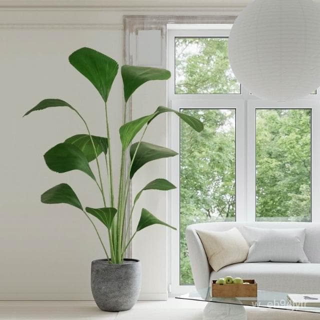 仿真圓葉樹 熱帶植物 蘇門答臘棕梠 大型北歐仿真植物 落地裝飾假盆栽 圓葉棕櫚 假樹 室內綠植擺件