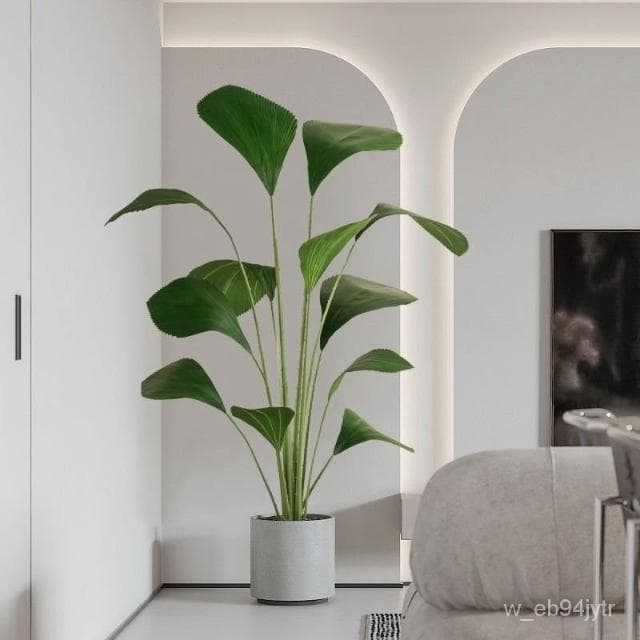 仿真圓葉樹 熱帶植物 蘇門答臘棕梠 大型北歐仿真植物 落地裝飾假盆栽 圓葉棕櫚 假樹 室內綠植擺件