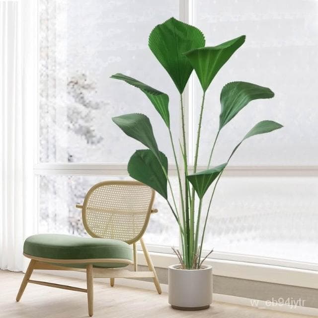 仿真圓葉樹 熱帶植物 蘇門答臘棕梠 大型北歐仿真植物 落地裝飾假盆栽 圓葉棕櫚 假樹 室內綠植擺件