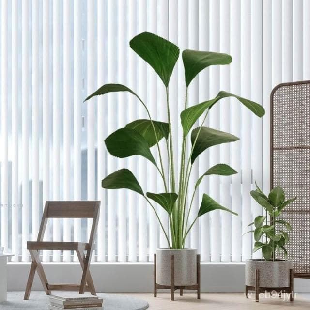 仿真圓葉樹 熱帶植物 蘇門答臘棕梠 大型北歐仿真植物 落地裝飾假盆栽 圓葉棕櫚 假樹 室內綠植擺件
