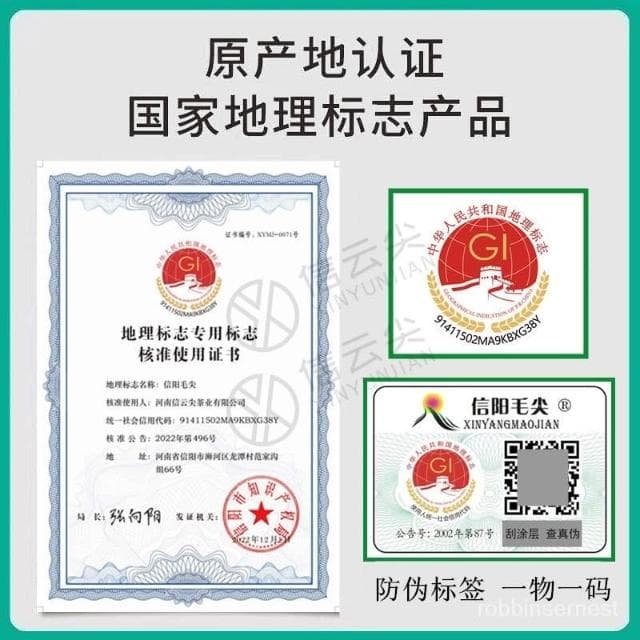 求求TW     【信雲尖】信陽毛尖茶葉綠茶2024新茶雨前嫩芽尖濃香耐泡罐裝散裝