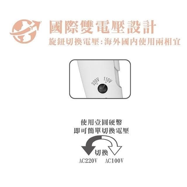 【達新牌】達新 FD-170 陶瓷遠紅外線吹風機(雙電壓)(顏色隨機出貨)