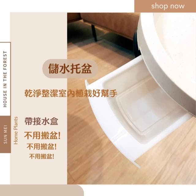 底盤 移動底盤 滾輪底盤 移動式接水盤水盤 接水盤 盆栽 盆栽容器 盆栽底盤 植物底座 花架