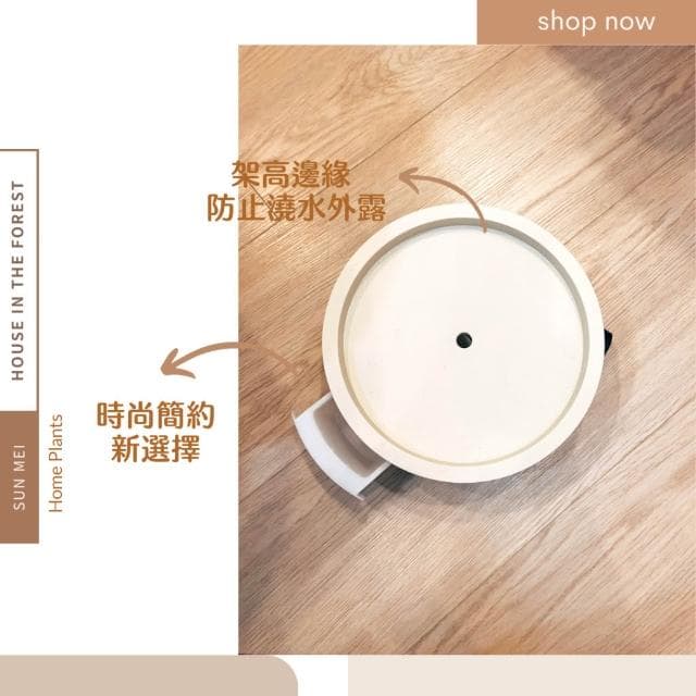 底盤 移動底盤 滾輪底盤 移動式接水盤水盤 接水盤 盆栽 盆栽容器 盆栽底盤 植物底座 花架