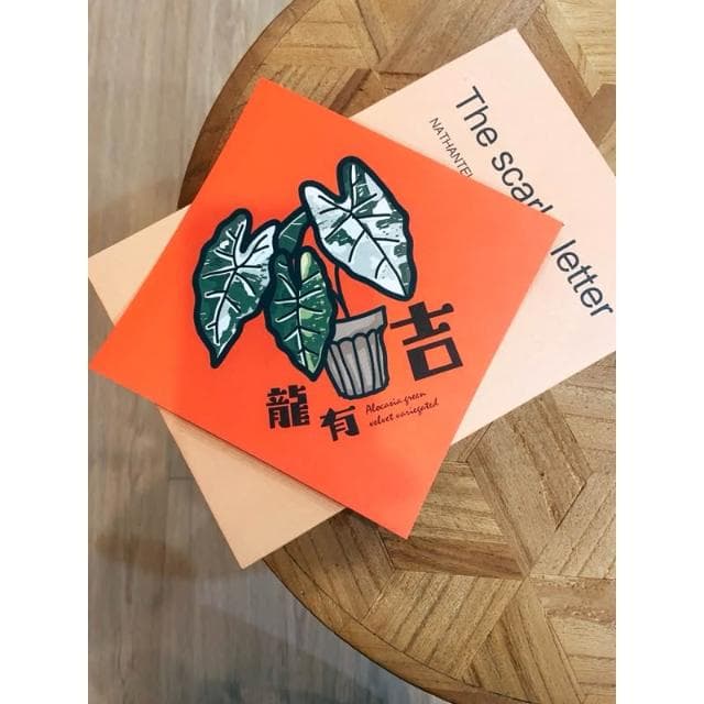 春聯 創意春聯 植物春聯 觀葉春聯 斗方手繪春聯 文創春聯 招財 開運植栽