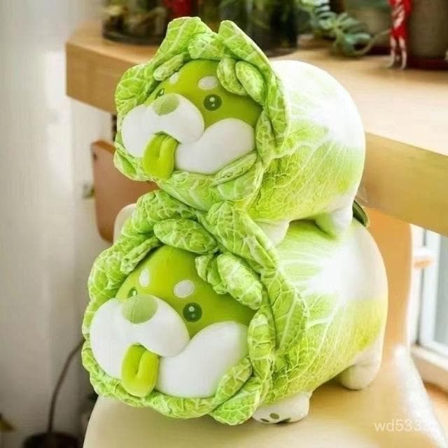 蔬菜精靈網紅白菜公仔玩偶可愛小狗毛絨玩具娃娃女友睡覺生日禮物