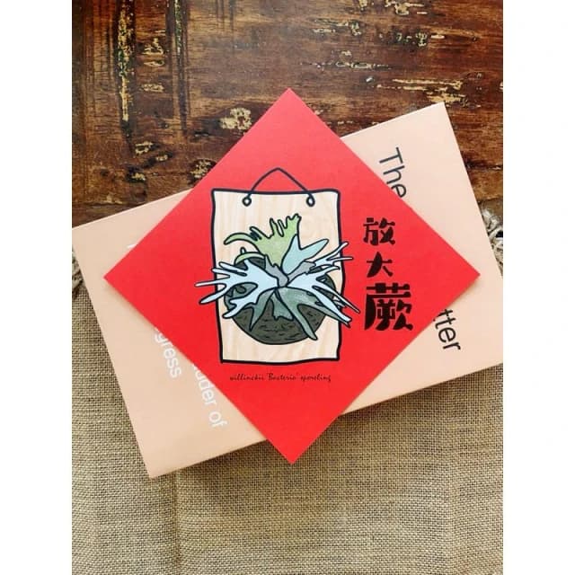 春聯 創意春聯 植物春聯 觀葉春聯 斗方手繪春聯 文創春聯 招財 開運植栽