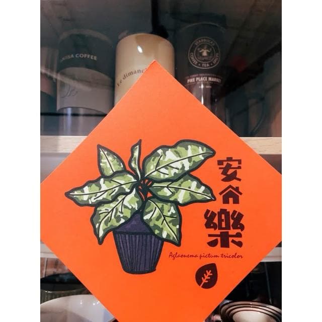 春聯 創意春聯 植物春聯 觀葉春聯 斗方手繪春聯 文創春聯 招財 開運植栽 鹿角蕨 迷彩粗勒草 圓葉山烏龜 斑葉絨葉