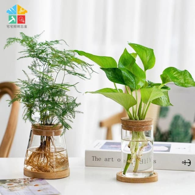 【含軟木塞】玻璃水培造型花盆 水耕植物盆 懶人花盆 水培盆 可養魚 水耕 觀賞盆栽 多肉植物 懶人盆栽