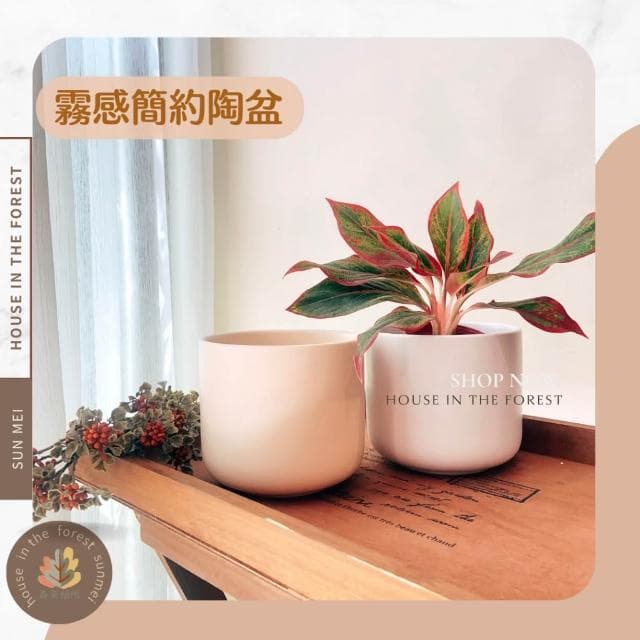 陶盆 霧感簡約陶盆 花盆 花器 盆器 居家裝飾 居家擺設 送禮植栽 送禮花 觀葉植物 多肉植物