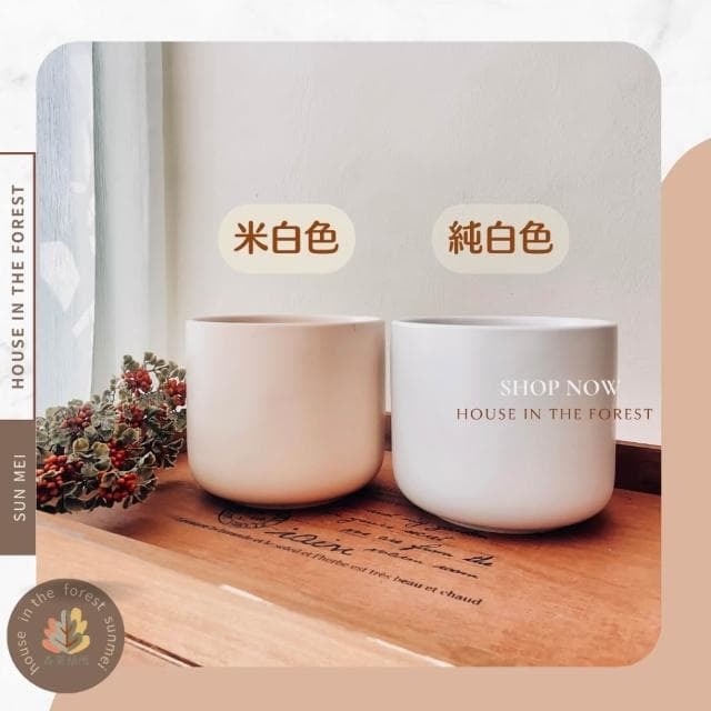 陶盆 霧感簡約陶盆 花盆 花器 盆器 居家裝飾 居家擺設 送禮植栽 送禮花 觀葉植物 多肉植物