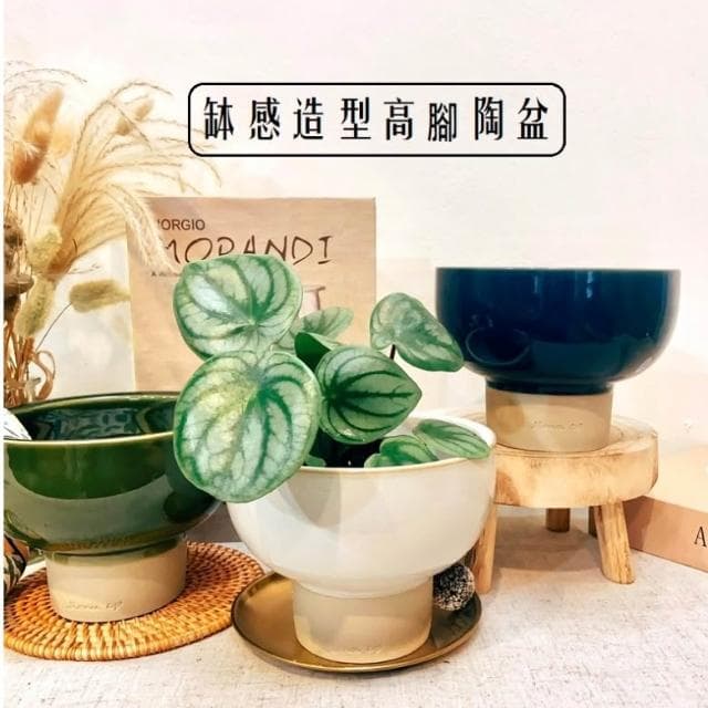 陶盆  缽感造型高腳陶盆 陶器 花器 花盆 盆器 花器 植物 植栽 塊根 仙人掌 觀葉 陶燒 居家布置