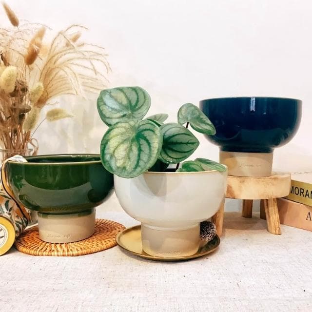 陶盆  缽感造型高腳陶盆 陶器 花器 花盆 盆器 花器 植物 植栽 塊根 仙人掌 觀葉 陶燒 居家布置