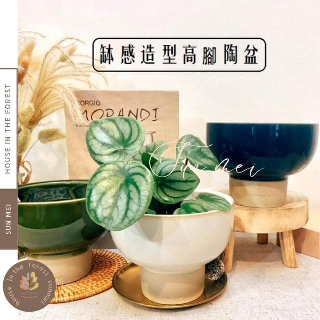 陶盆  缽感造型高腳陶盆 陶器 花器 花盆 盆器 花器 植物 植栽 塊根 仙人掌 觀葉 陶燒 居家布置