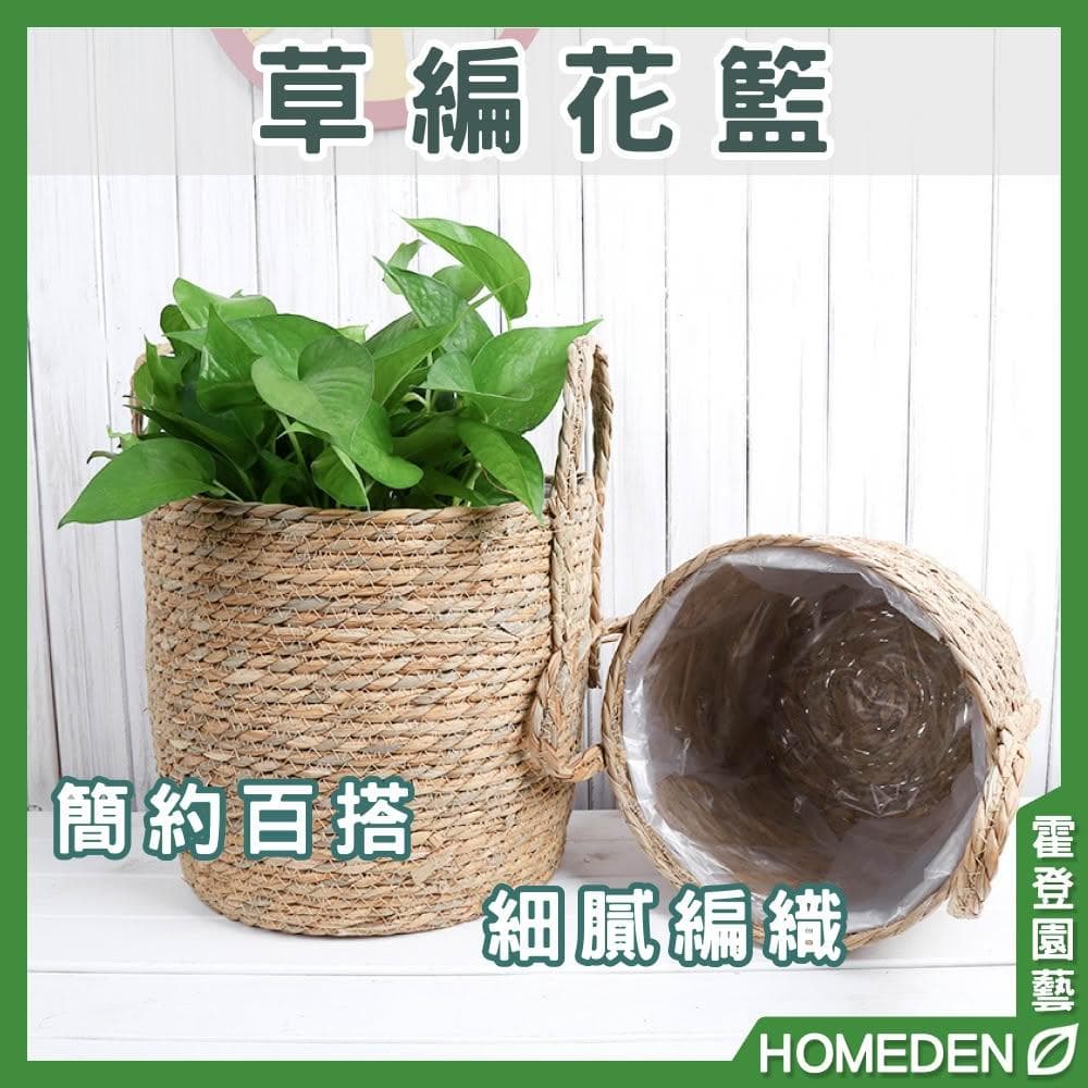草編花籃 龜背芋 觀葉植物 竹籃 花籃 草編籃 摺疊籃 海草編織籃 室內盆栽北歐風【HOMEDEN霍登園藝】