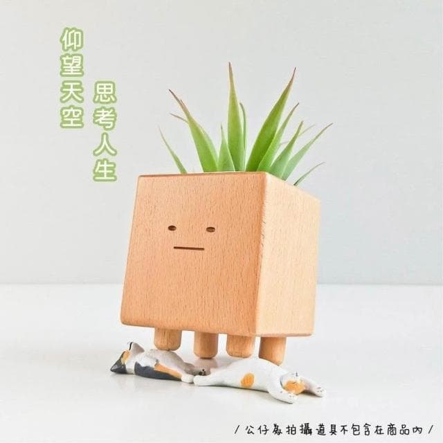 台灣設計  小盆獸盆栽 造型花器 方形盆器 花盆 室內小盆栽 交換禮物 生日禮物 童心木 TOSMU 多肉