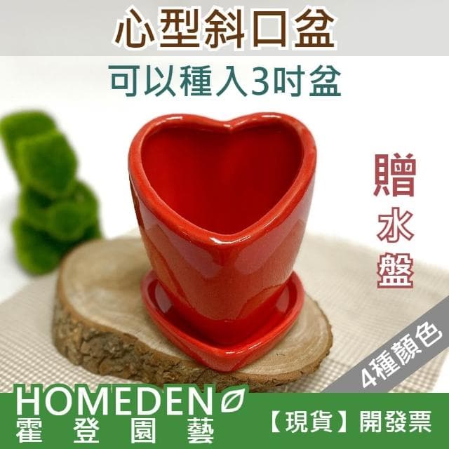 心型斜口花盆 陶瓷花盆 花器 多肉植物 辦公室盆栽 居家盆栽 送禮盆栽【HOMEDEN霍登園藝】