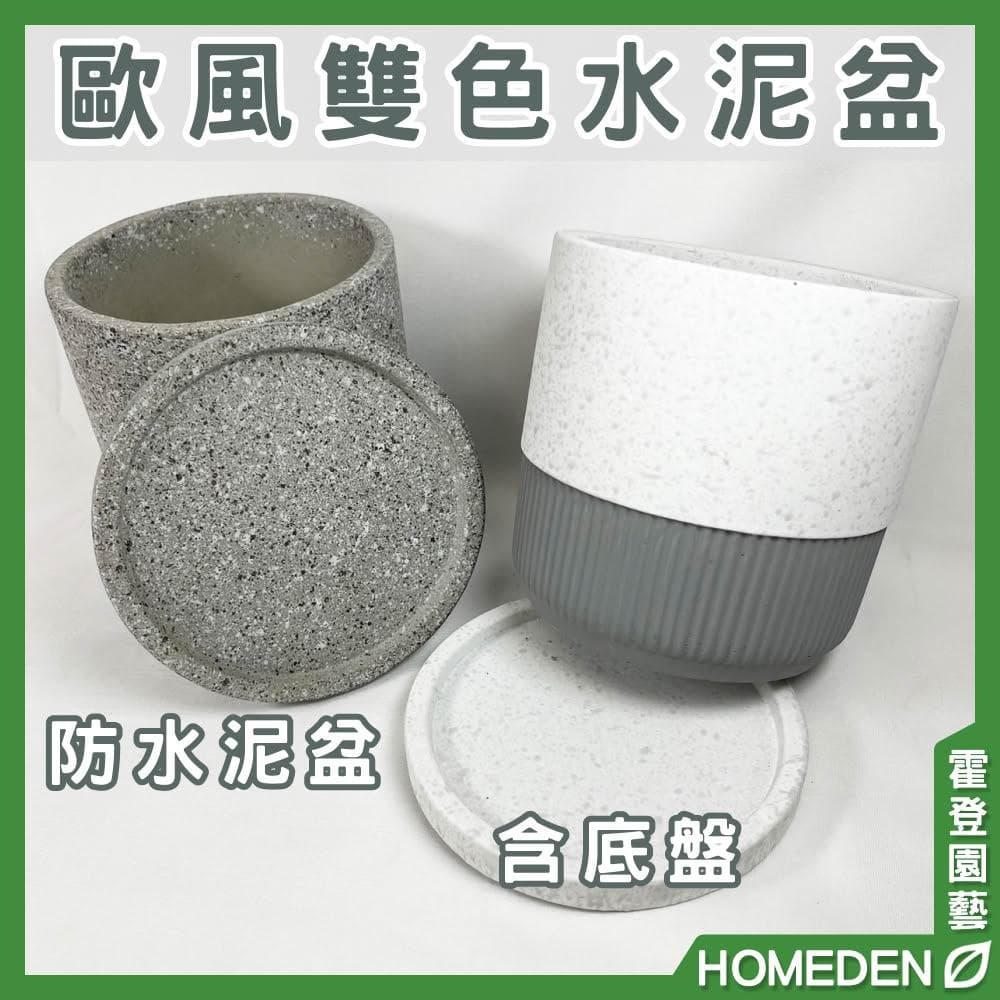 歐風雙色水泥盆 水泥盆 陶瓷盆 陶盆 花盆花器 多肉盆 觀葉植物花盆 居家盆栽【HOMEDEN霍登園藝】