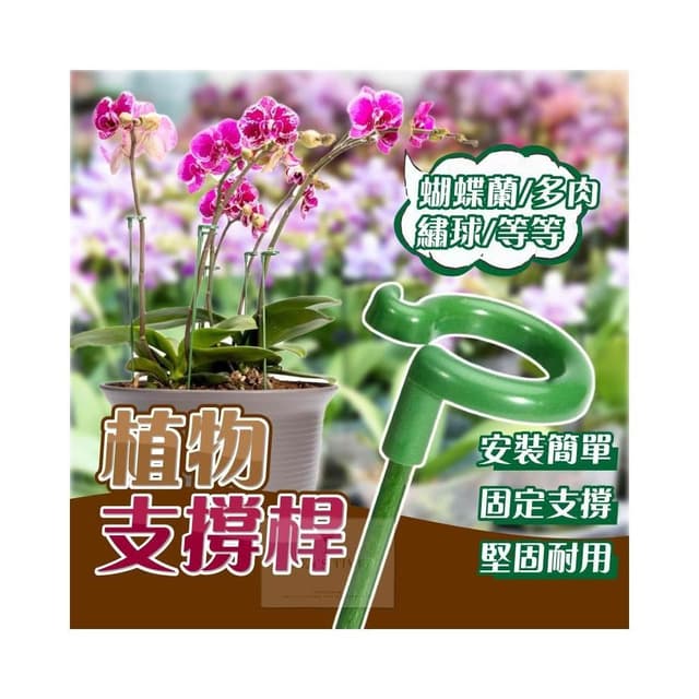 台灣現貨 ️10入 開立發票 植物支撐桿 植物支架 園藝工具 爬藤支架 植物支撐 植物支撐架 園藝支架 盆栽支架